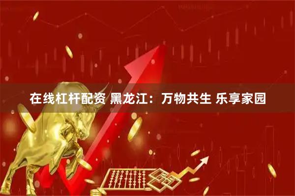在线杠杆配资 黑龙江：万物共生 乐享家园